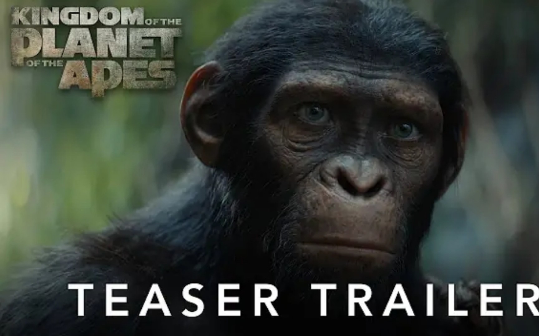 经典再续 猩球崛起4 先导预告 2024年