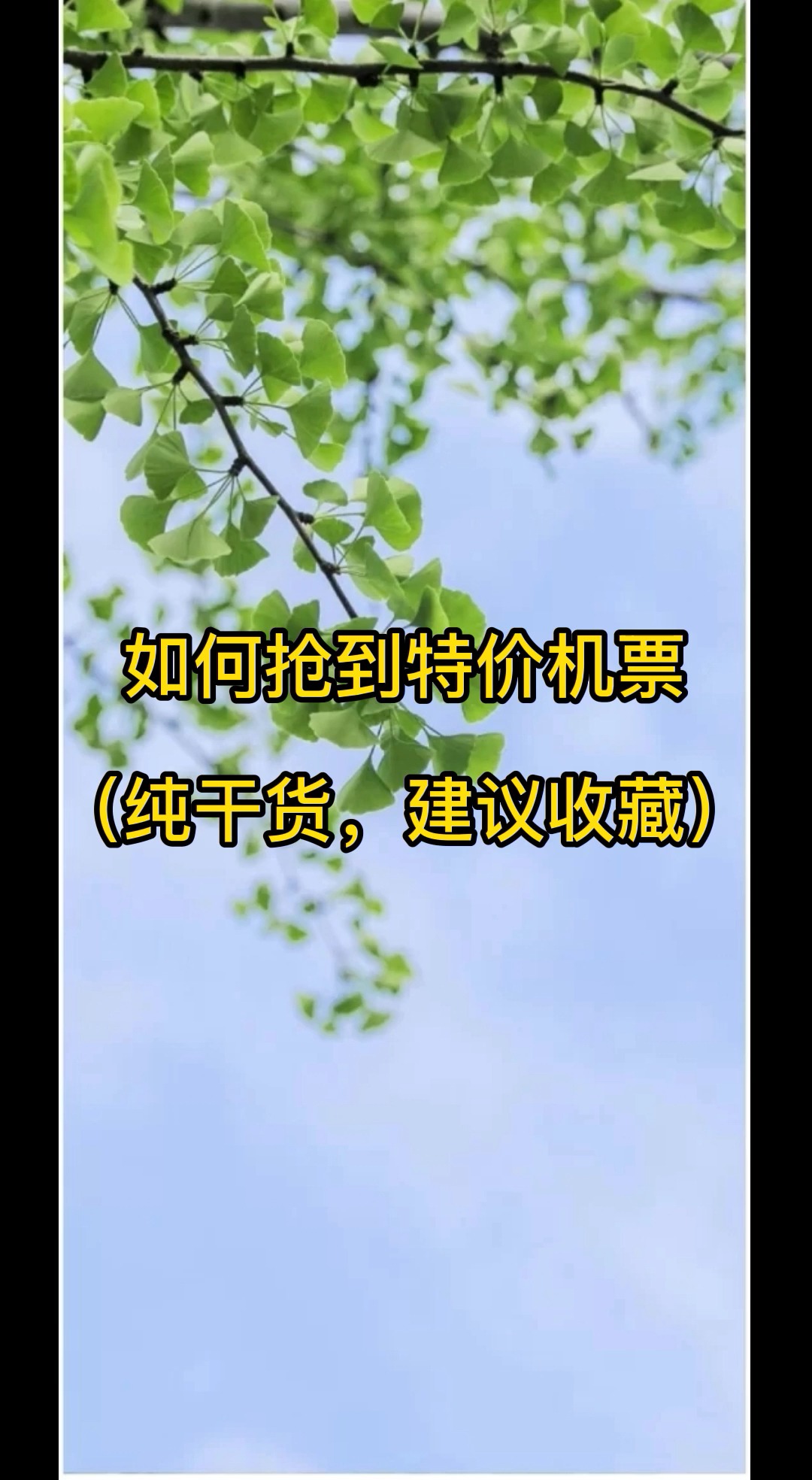 如何抢到特价机票,纯干货,建议收藏哔哩哔哩bilibili