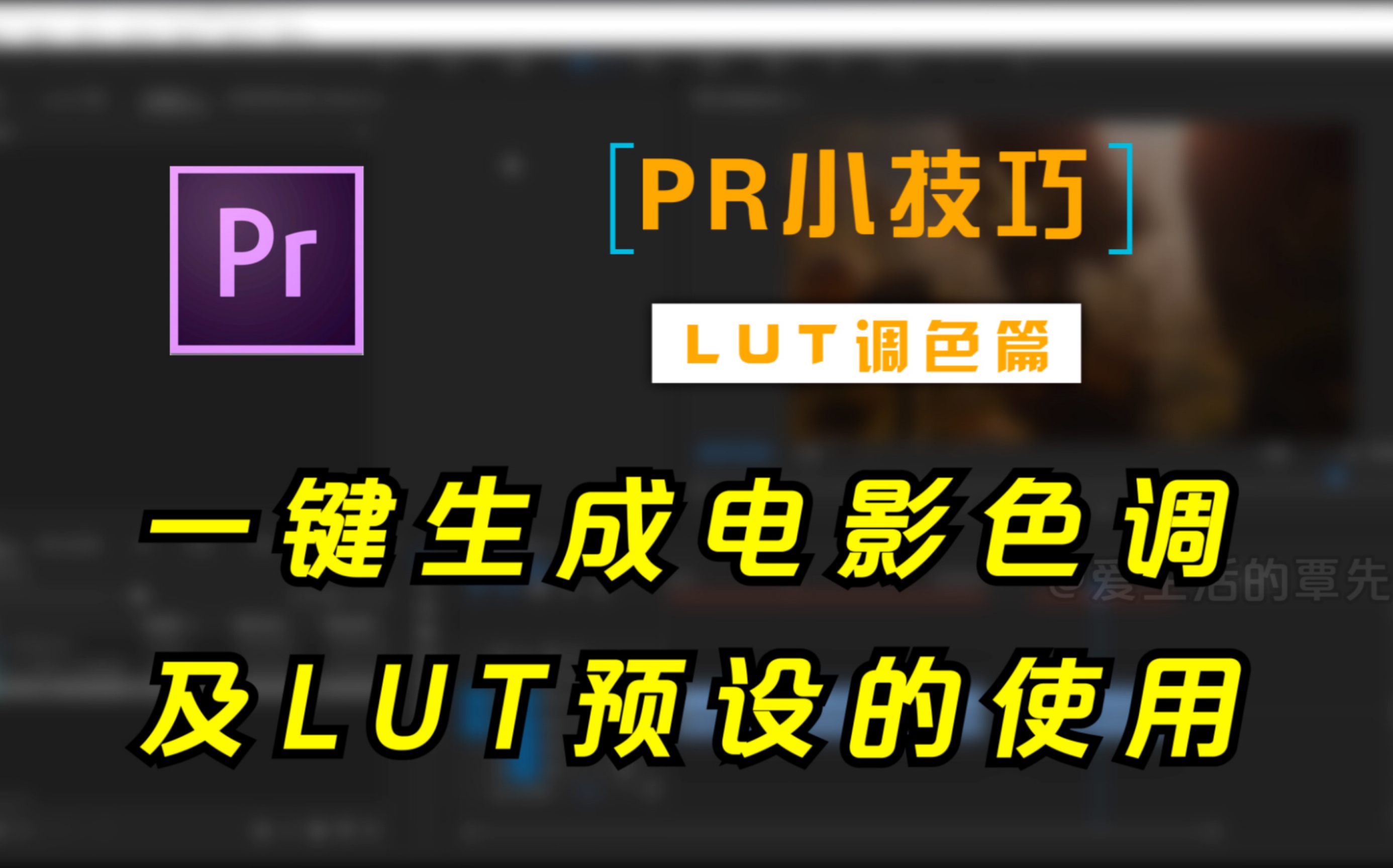 【PR教程】一键生成电影色调及LUT预设的使用.哔哩哔哩bilibili