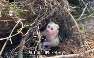 Скачать видео: 命运天平倾斜了，生死只在一瞬间