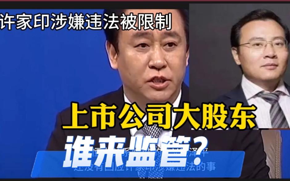 大V任泽平如何回应许家印的事?民营企业大股东谁来监管哔哩哔哩bilibili