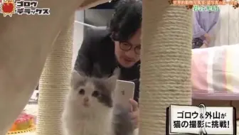 中居正广的神感觉和盐感觉 16 06 生肉 哔哩哔哩 Bilibili