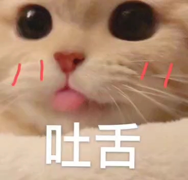 喵喵喵喵哔哩哔哩bilibili