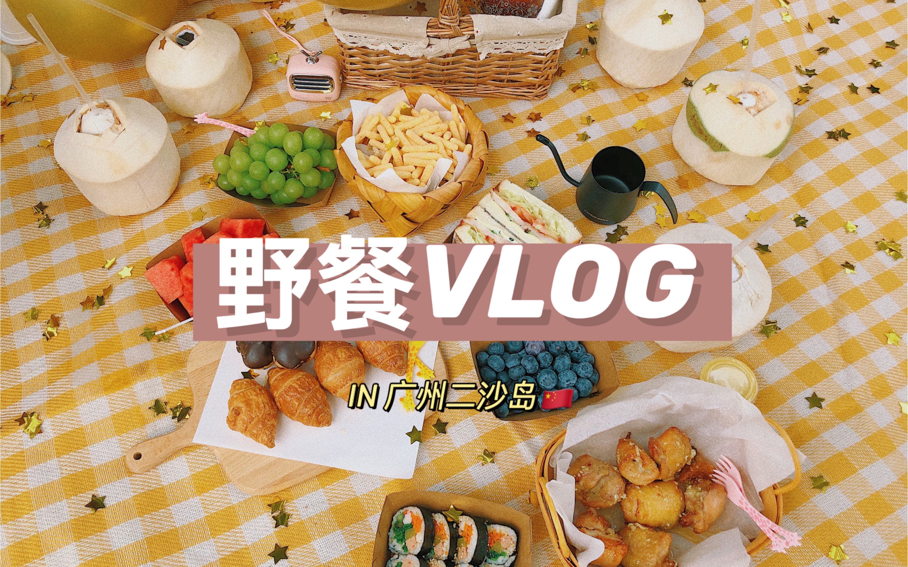 野餐VLOG|关于生日会的野餐打开方式哔哩哔哩bilibili