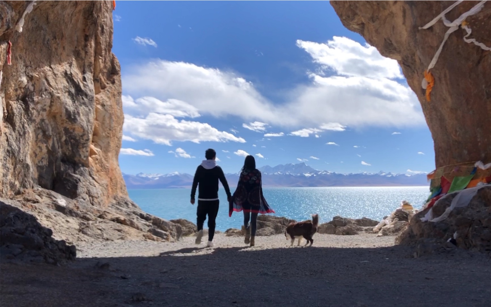 两人一狗,说走就走