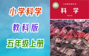 下载视频: 小学科学 教科版 五年级上册 2021新版 教学视频 科学5年级上册