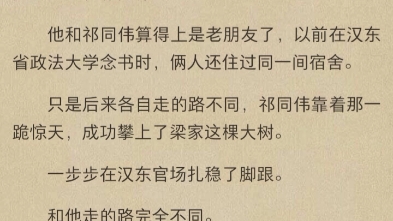 《镇国元帅》小说《叶天祁同伟》小说《镇国元帅》叶天祁同伟小说哔哩哔哩bilibili