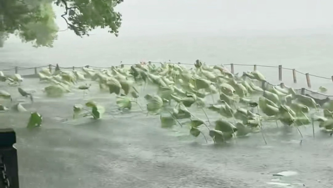 “暴雨中的西湖，此刻的雨西湖真的杀疯了～”