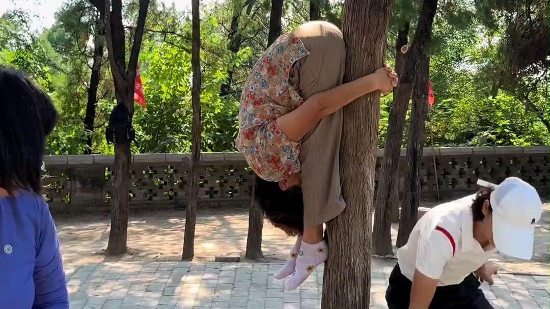 高难度动作 爬树前屈锻炼，就一个疑问：咋下来？_哔哩哔哩_bilibili