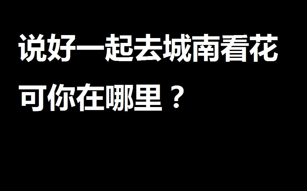 《城南花已开》背后的故事,百万人的心灵港湾哔哩哔哩bilibili