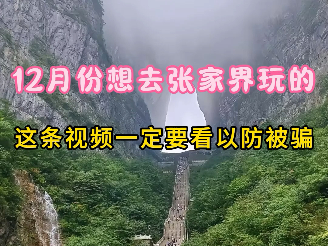 从张家界回来才知道旅游被骗了,张家界根本不是网上说的那样#张家界旅游攻略#张家界旅行#天门山旅游哔哩哔哩bilibili