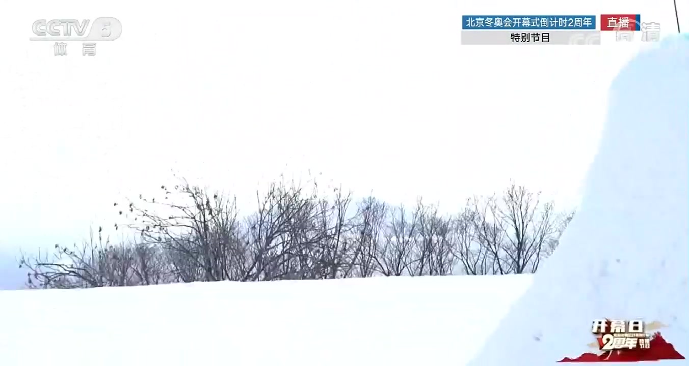 CCTV5体育频道 单板滑雪大跳台和坡面障碍技巧哔哩哔哩bilibili