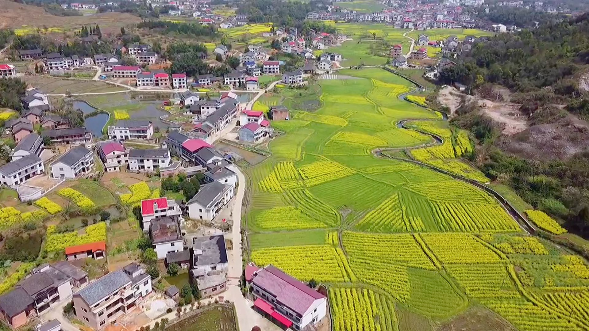 [图]湖南一村庄四面环山，油菜花开的季节，村民犹如住在画中