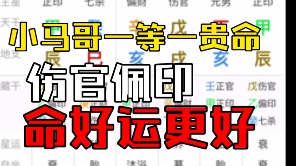 超级富贵八字,小马哥哔哩哔哩bilibili