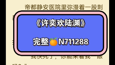 [图]人气小说分享《许奕欢陆渊》#《许奕欢陆渊》许奕欢陆渊小说完整