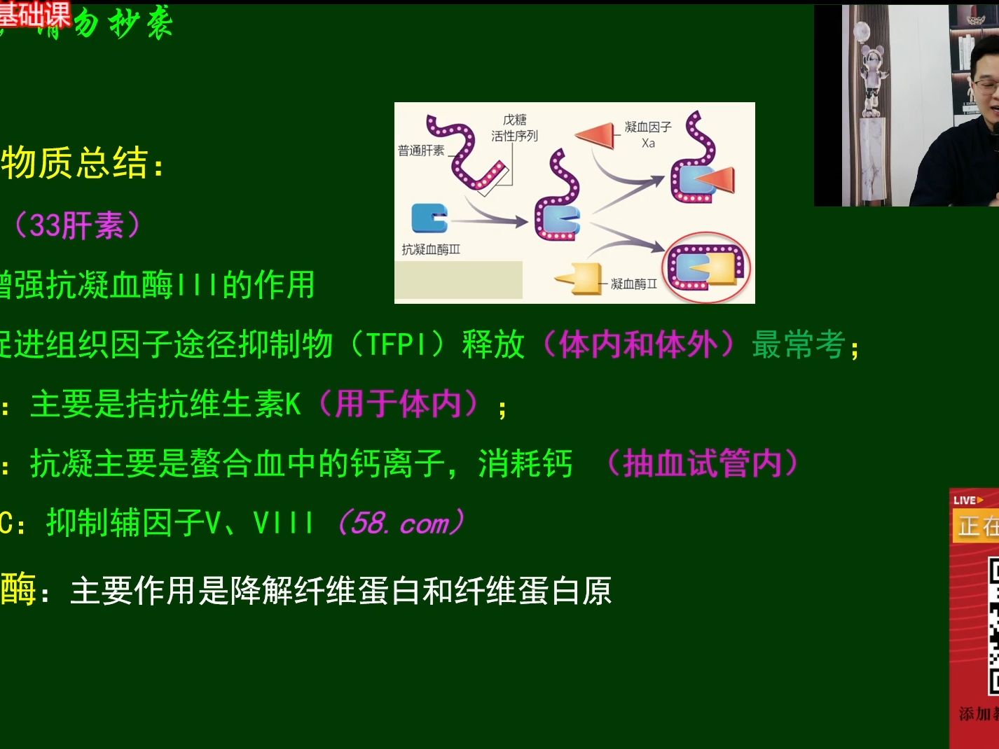 【马上爱生理】25医学考研|生理合集第三章 血液 3.4哔哩哔哩bilibili