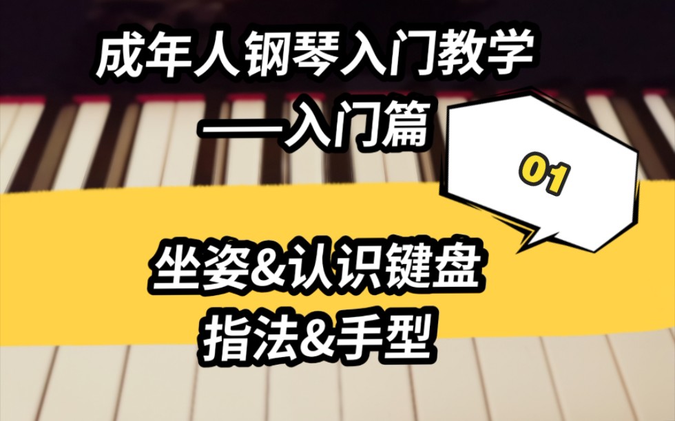【每天十分钟,快乐弹钢琴】成人零基础钢琴入门课程01 坐姿,认识键盘
