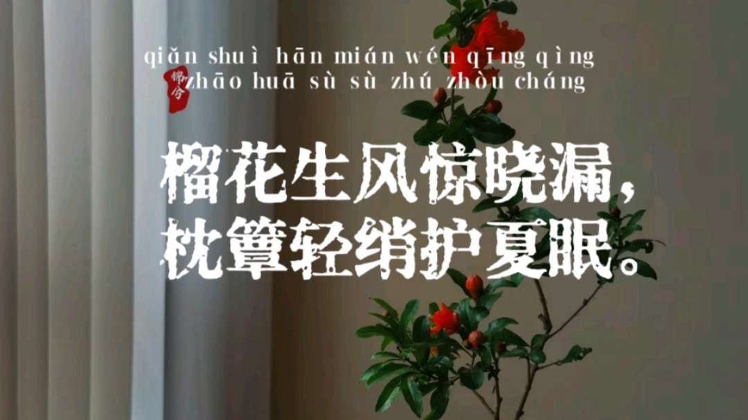 原创 | 诗词中的极美现代生活 : 睡眠 | “榴花生风惊晓漏,枕簟轻绡护夏眠” | 每日一句 | 原创诗词哔哩哔哩bilibili