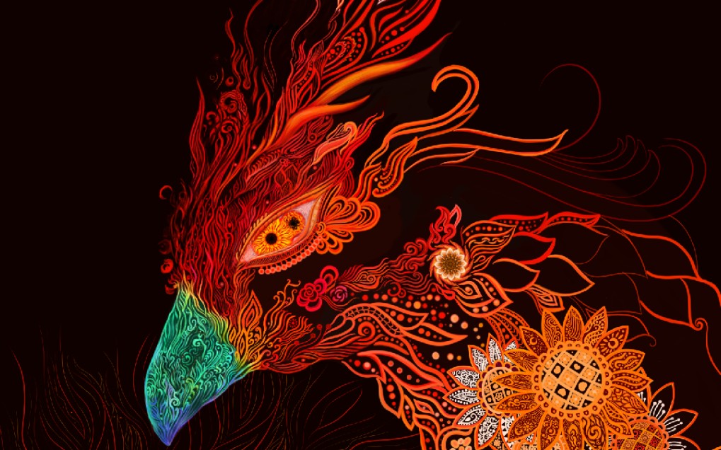 重明鸟,还没画完,好累呀.