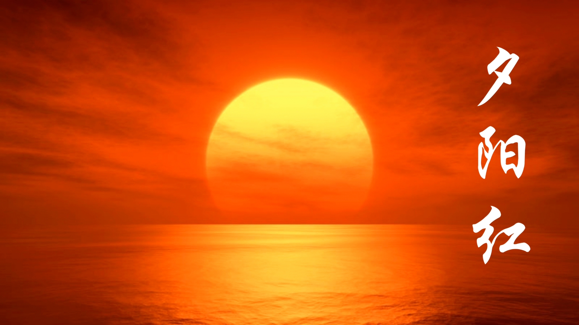 《夕阳红》简谱版