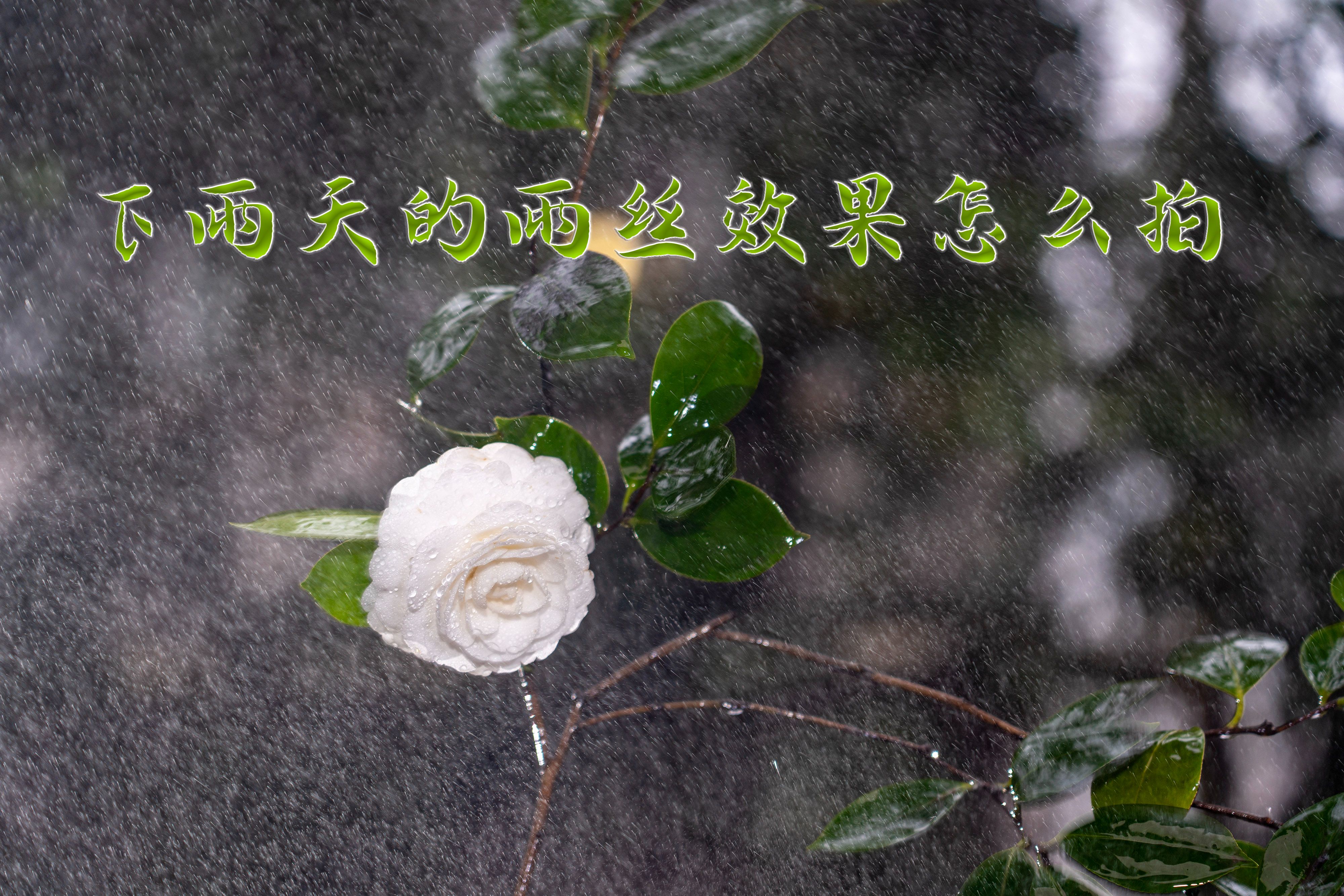 下雨天怎么拍雨丝 用常亮灯与闪光灯拍雨丝有什么不同 来看看吧哔哩哔哩bilibili