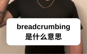 下载视频: 你有没有被breadcrumb过？