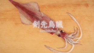 日本刺身料理 連子鯛刺身的处理刀法 哔哩哔哩 つロ干杯 Bilibili