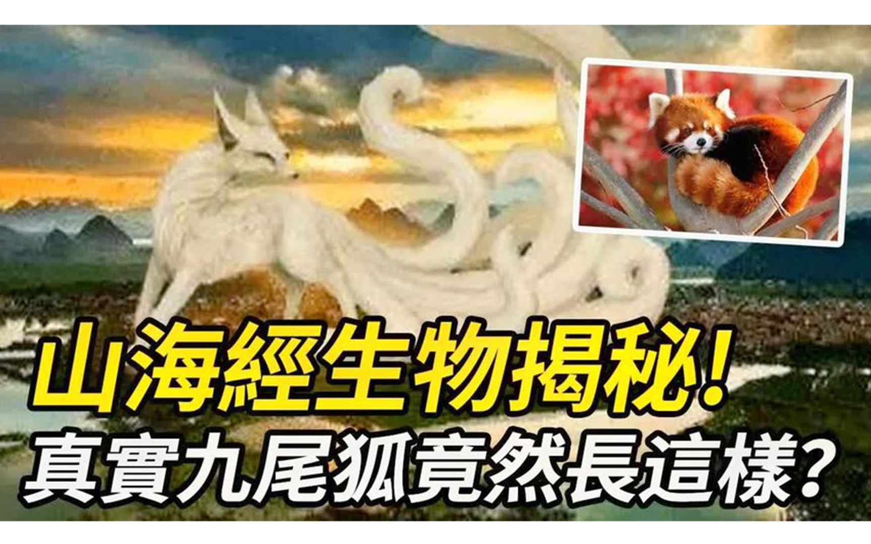 独角兽、九尾狐、人面兽,山海经书中描绘了消失的古代高等文明?哔哩哔哩bilibili