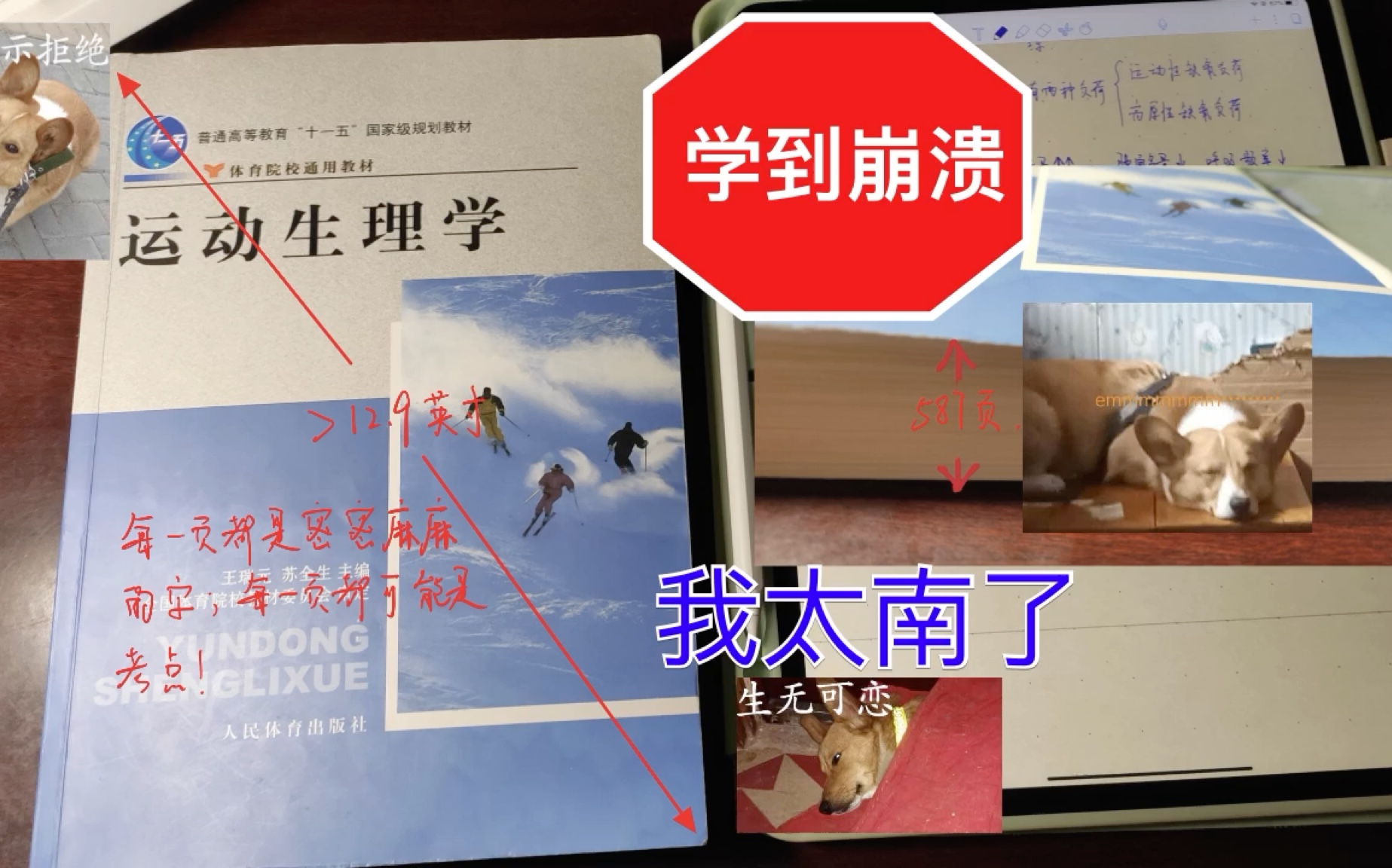 [图]学运动生理学学到生无可恋。