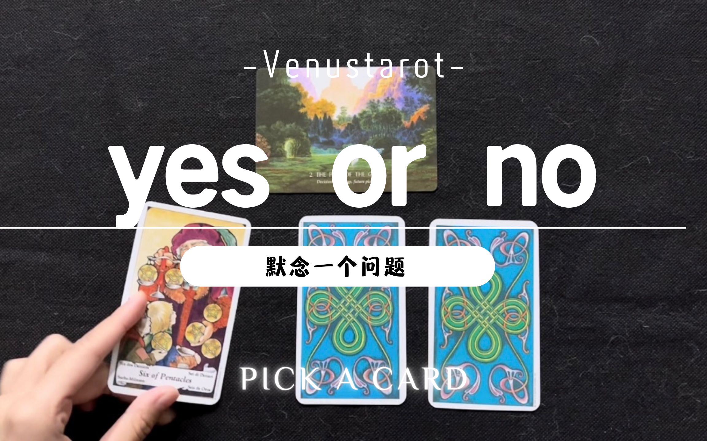 【venus塔罗】默念一个问题,答案是yes or no?