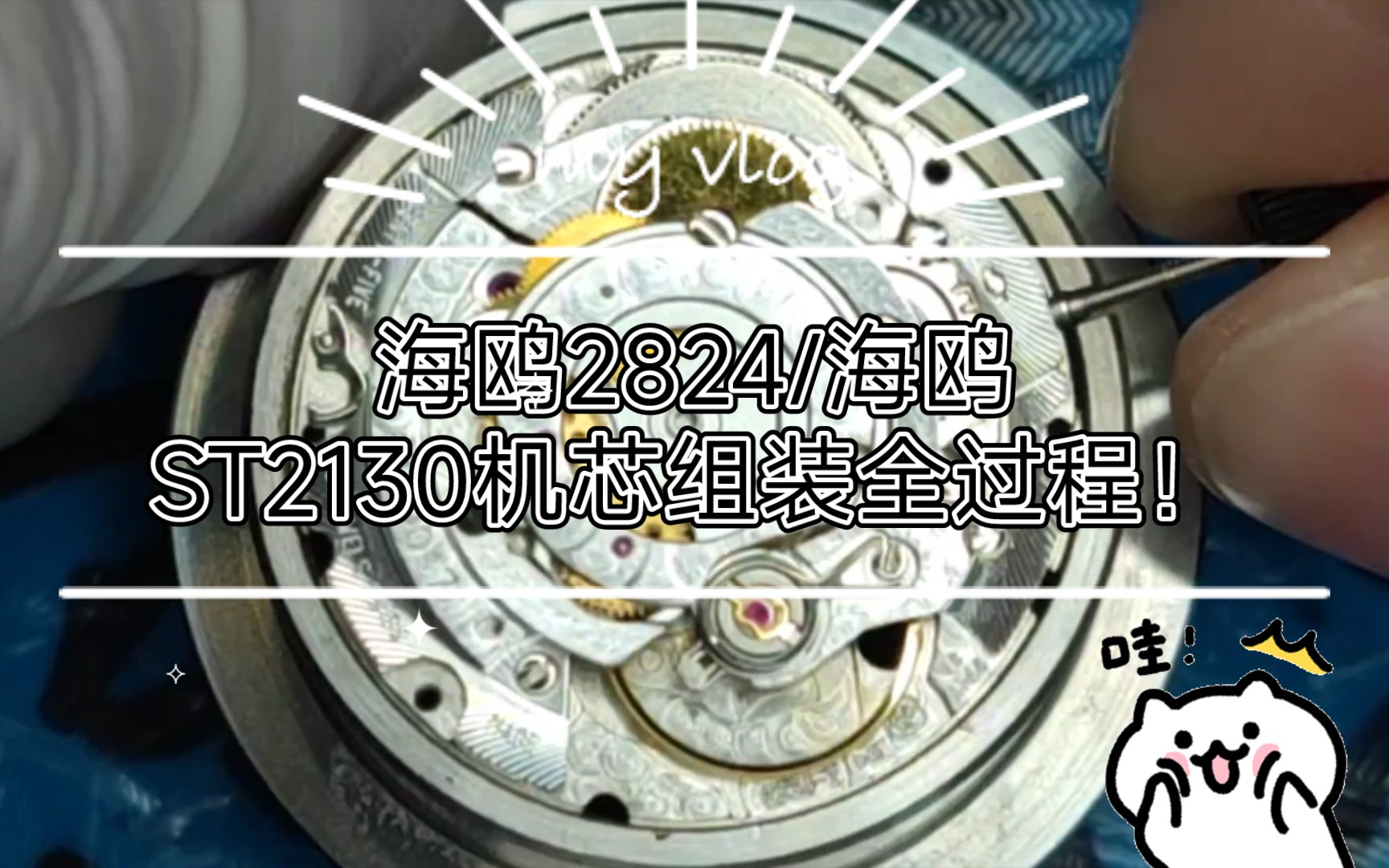 你学废了吗?极致放大沉浸式手表拆装.海鸥2824/海鸥ST2130机芯组装全过程!哔哩哔哩bilibili