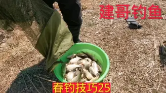 Download Video: 野钓鲫鱼，难怪3小时20斤大板鲫，这就是爆护诀窍