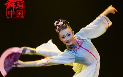 身韵 • 独舞《杏花天影》