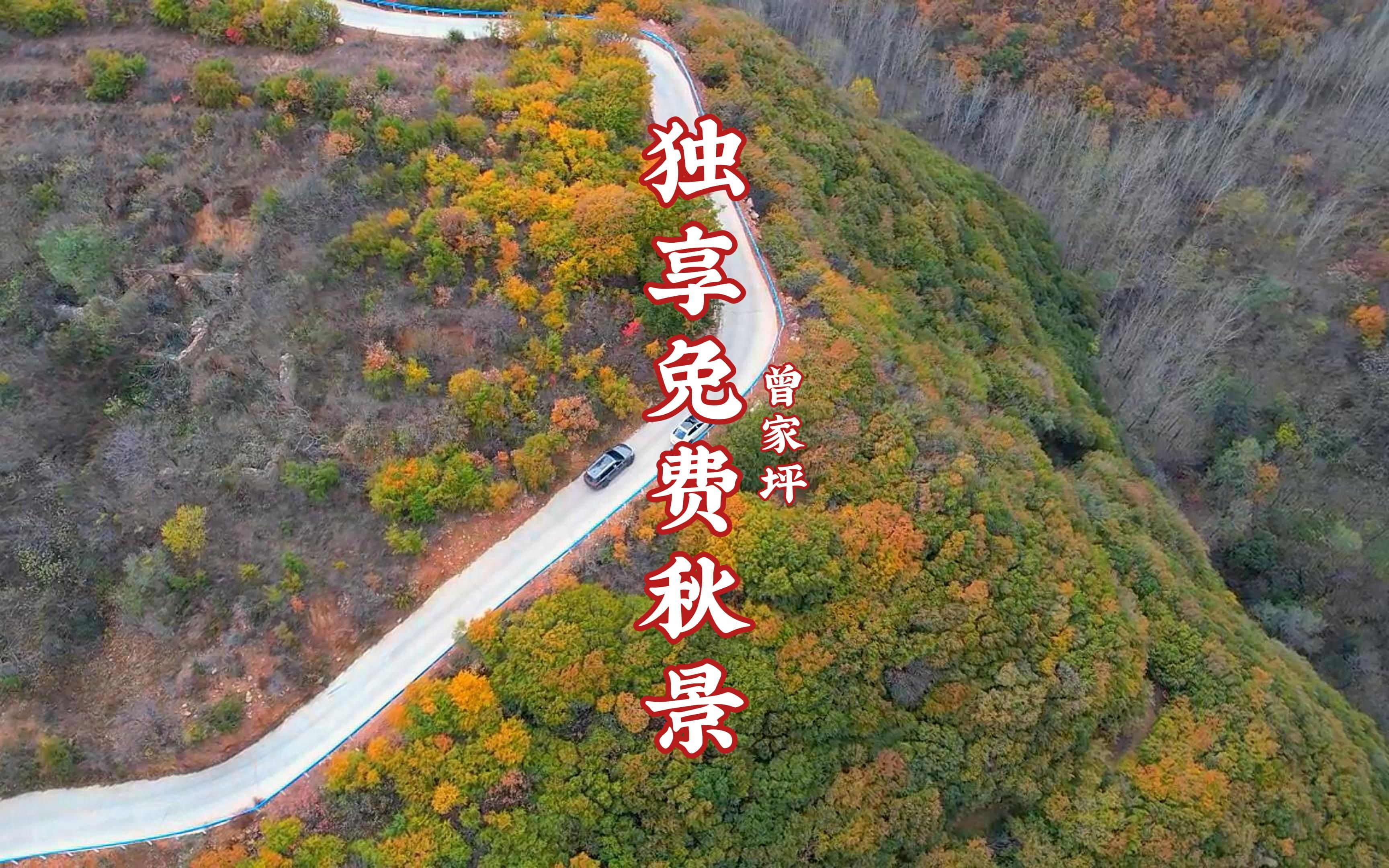 我发现的免费秋景,离郑州1小时车程哔哩哔哩bilibili