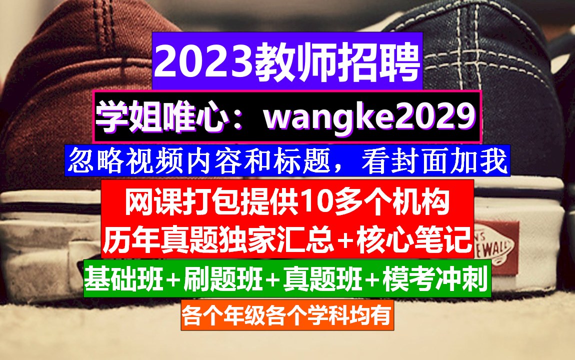 2023全国教师招聘教育基础知识,教师招聘信息在哪发布,教师编报名条件哔哩哔哩bilibili