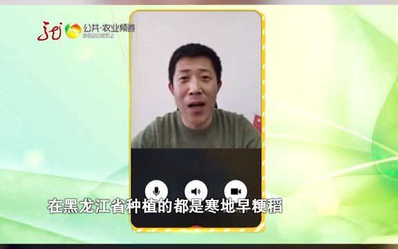 【美丽乡村】想种庄红贡米专家给出建议哔哩哔哩bilibili