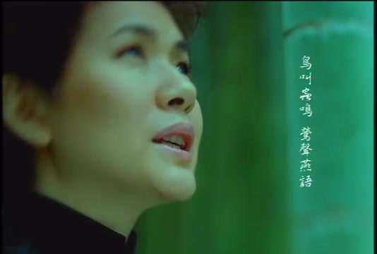 张清芳 --- 花雨夜 （丰华官方清晰版MV）