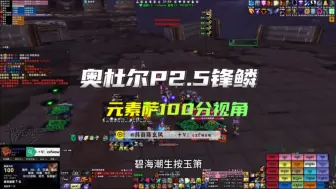 Video herunterladen: 魔兽世界怀旧服 奥杜尔P2.5 锋鳞-元素萨无灌注无专注100分视角~