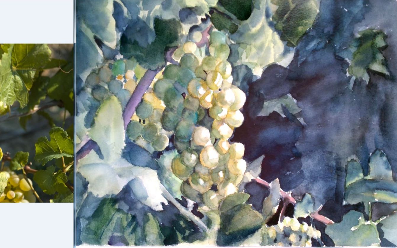 活动作品绿葡萄34水彩详细教程国产宝虹纸