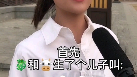 龙的故事哔哩哔哩bilibili