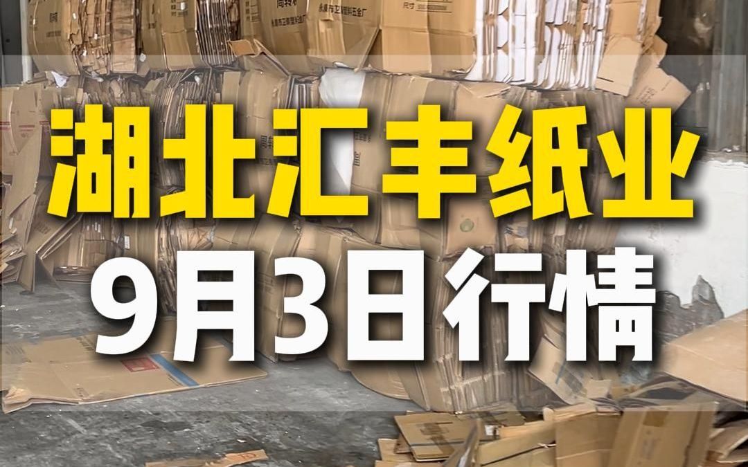 9月3日湖北长江汇丰纸业采购行情参考哔哩哔哩bilibili