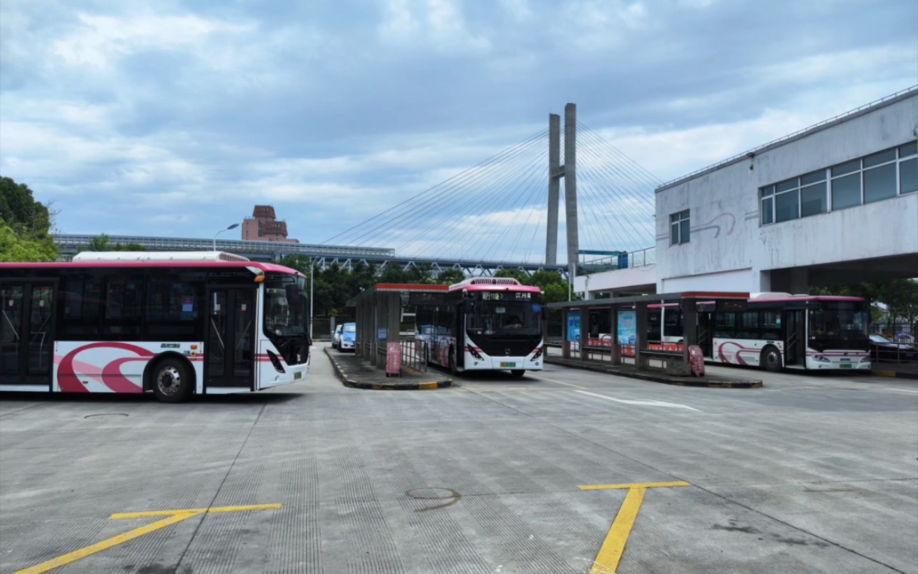 上海公交 闵行客运 闵行11路 申沃8系 运行实录