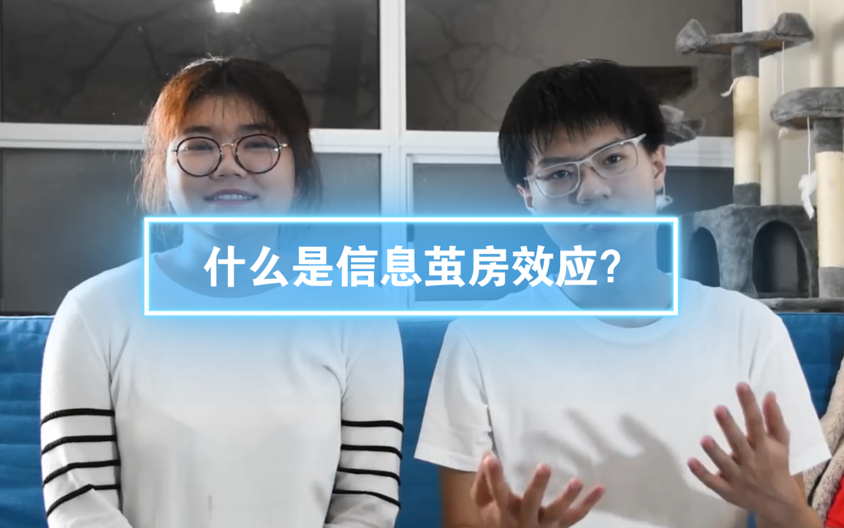 [六五科普]什么是信息茧房效应?哔哩哔哩bilibili