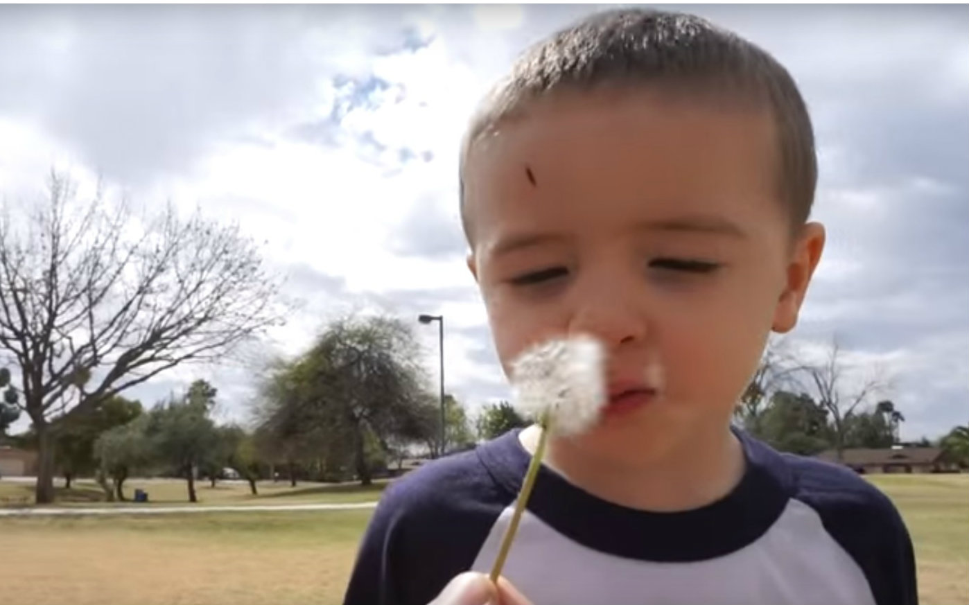 【中字】matt blue   crow 周末公园玩乐