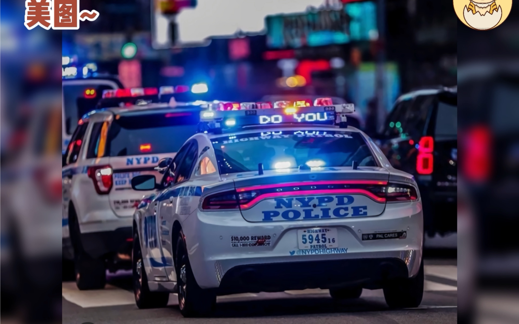 分享我的le美国巡警造型和装备分享nypdlapdlasd