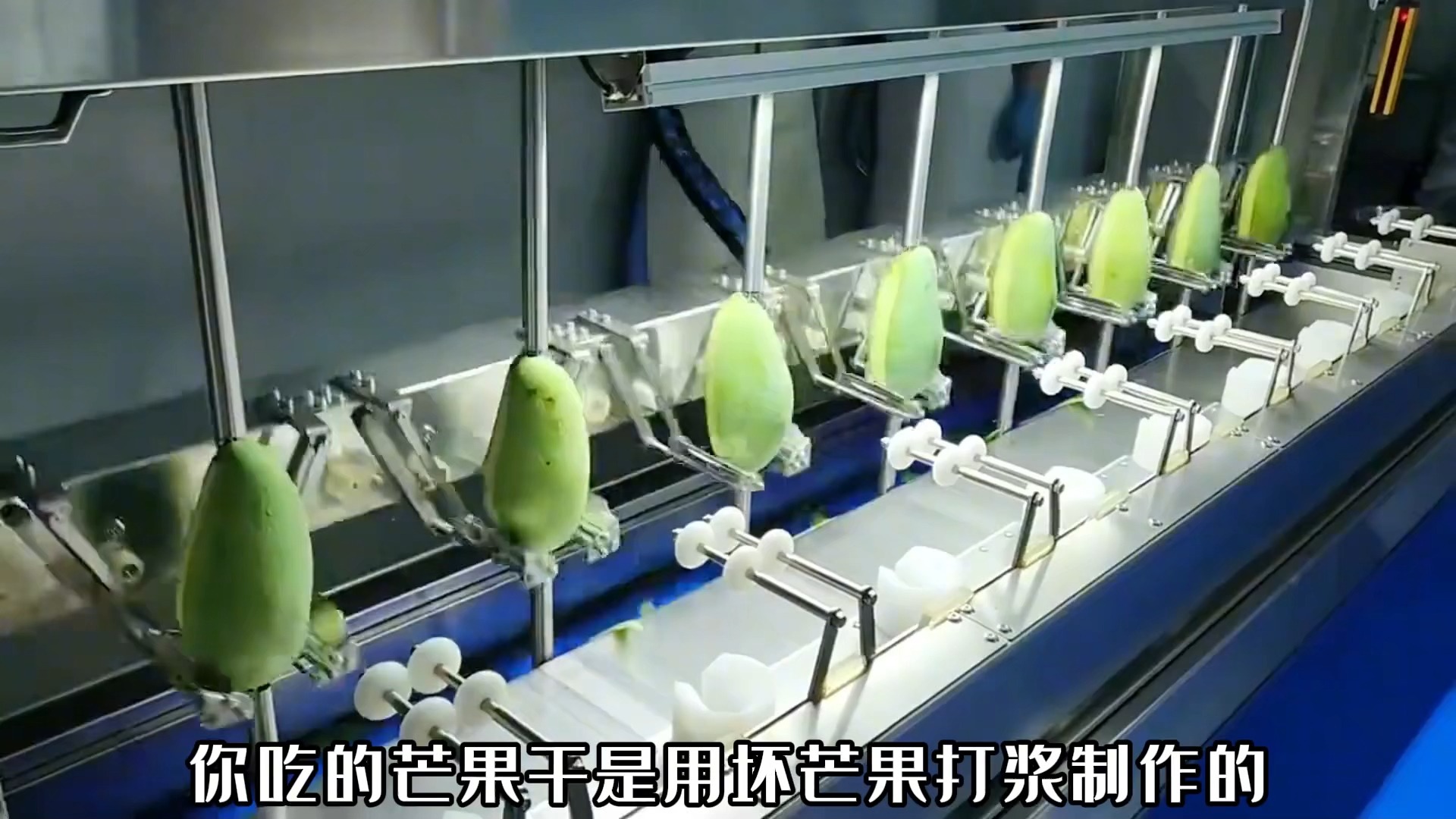 揭秘芒果干的加工全过程!l06