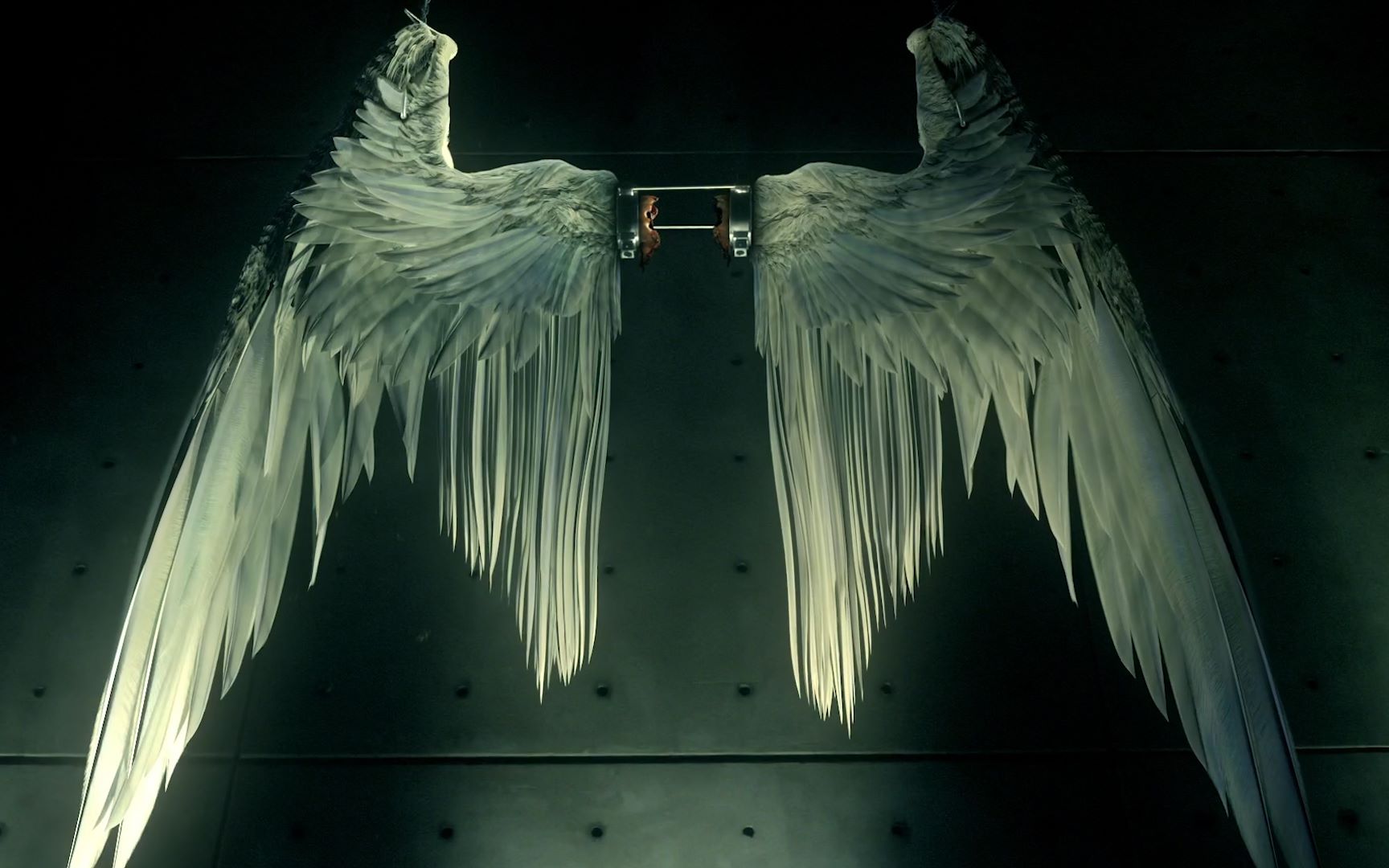 第一季第六集】路西法的集装箱被偷了,里面装着他让麦子砍掉的翅膀,这