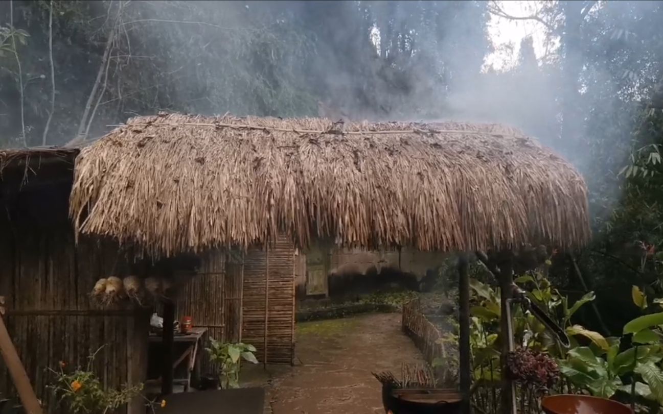 山味仙独自一人,居住在农家小院,享受着炊烟缭绕田园生活哔哩哔哩bilibili