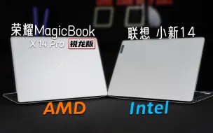 Download Video: 4000价位轻薄本怎么选？荣耀MagicBook X 14 Pro 锐龙版对比小新14