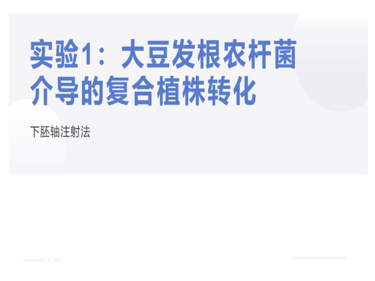 实验1:大豆发根农杆菌介导的复合植株转化:下胚轴注射法哔哩哔哩bilibili